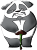 pandas